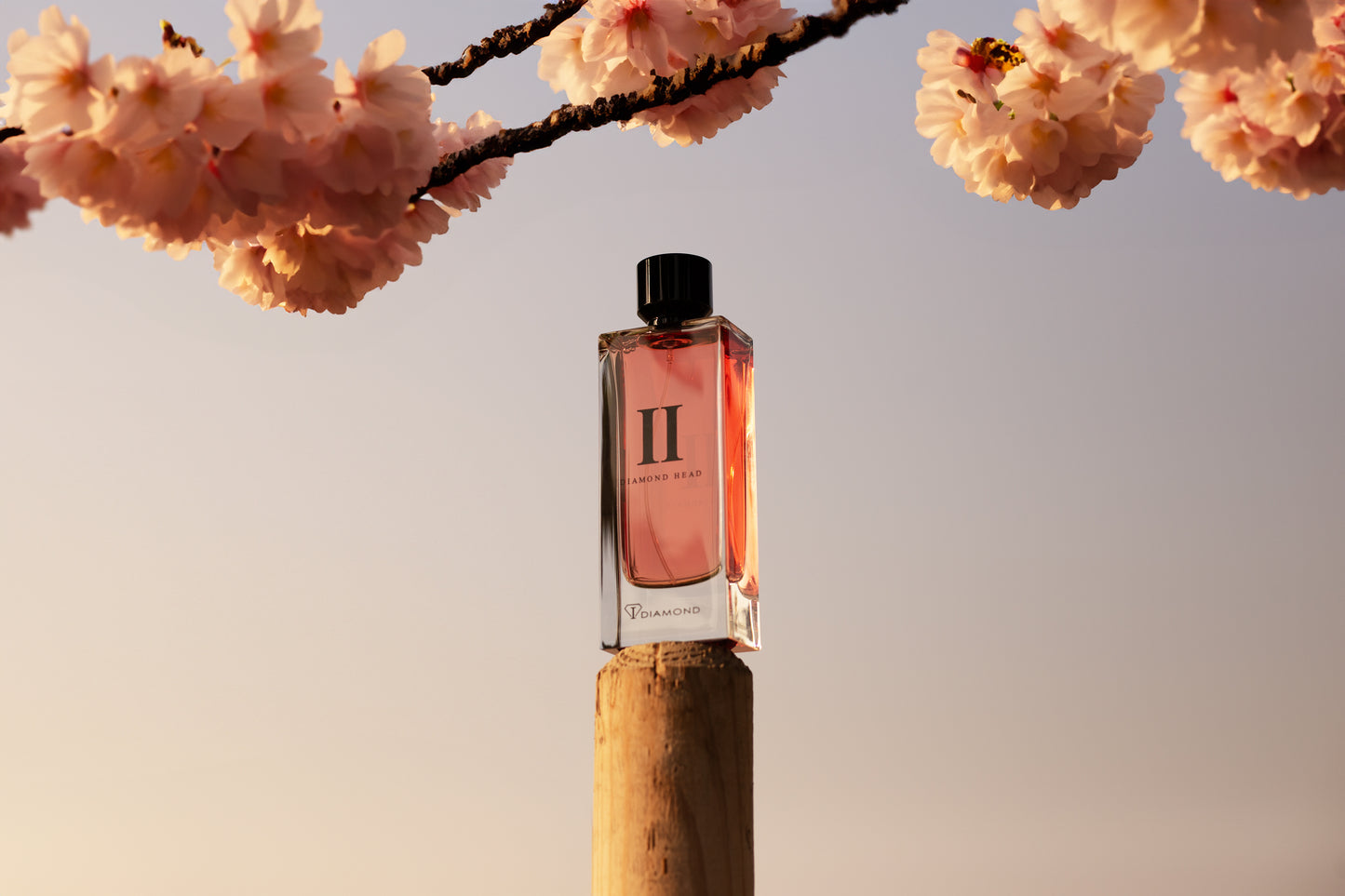 NO'2 - 80ml Extrait de parfum - DIAMOND HEAD